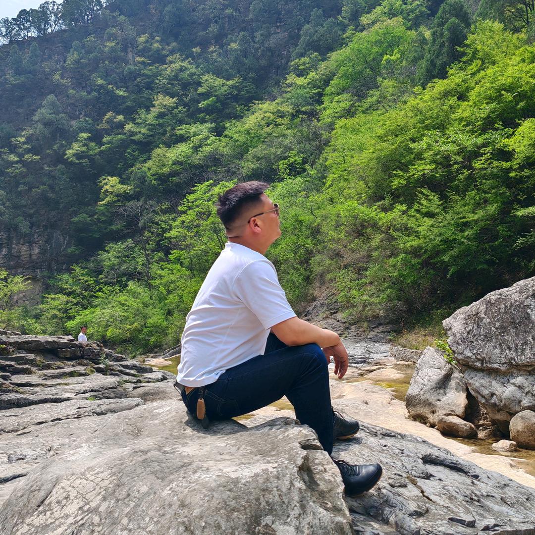 向龙