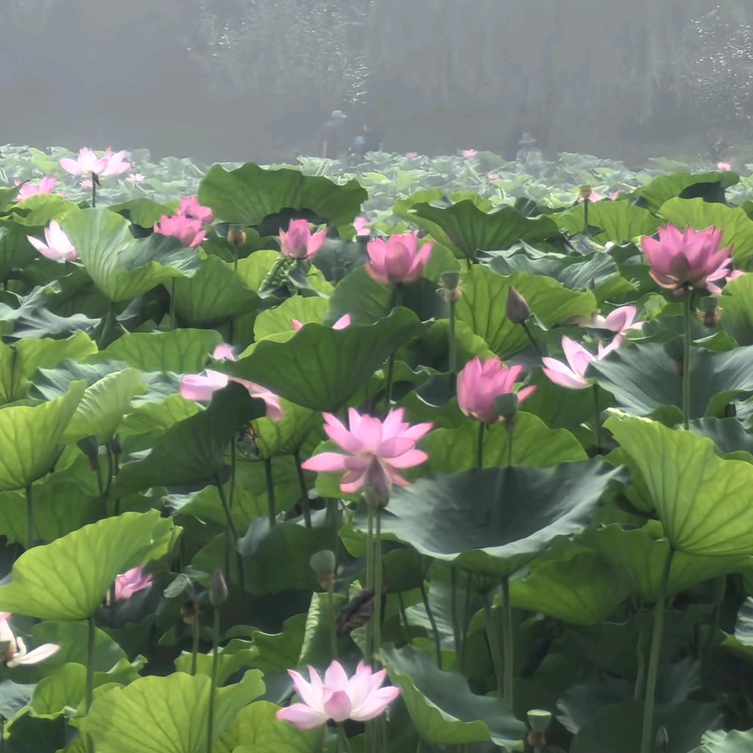 海纳百川