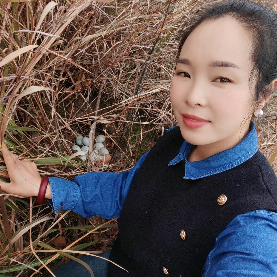 熊熊(橱窗带货)