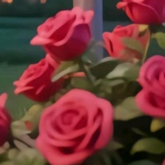 🌹᭄穆已成舟🌾🌺