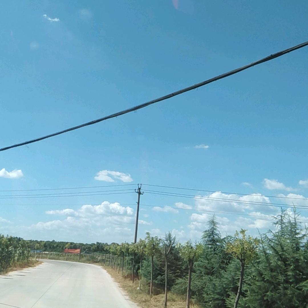 优雅小屁孩