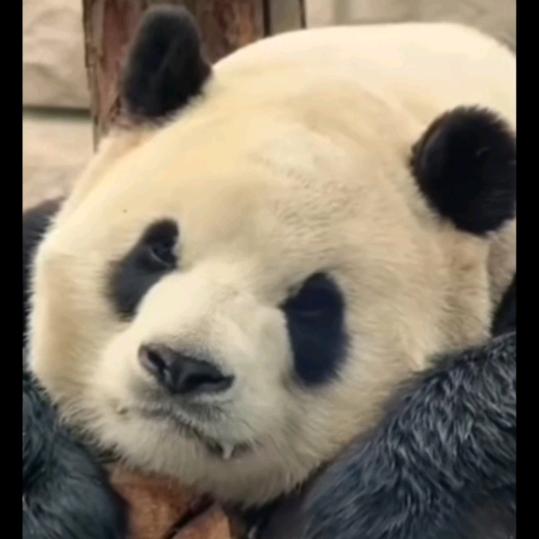 满载而归