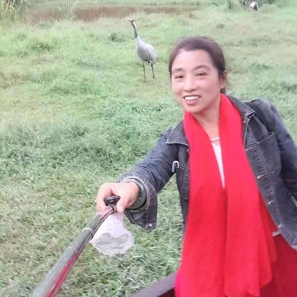 乐美