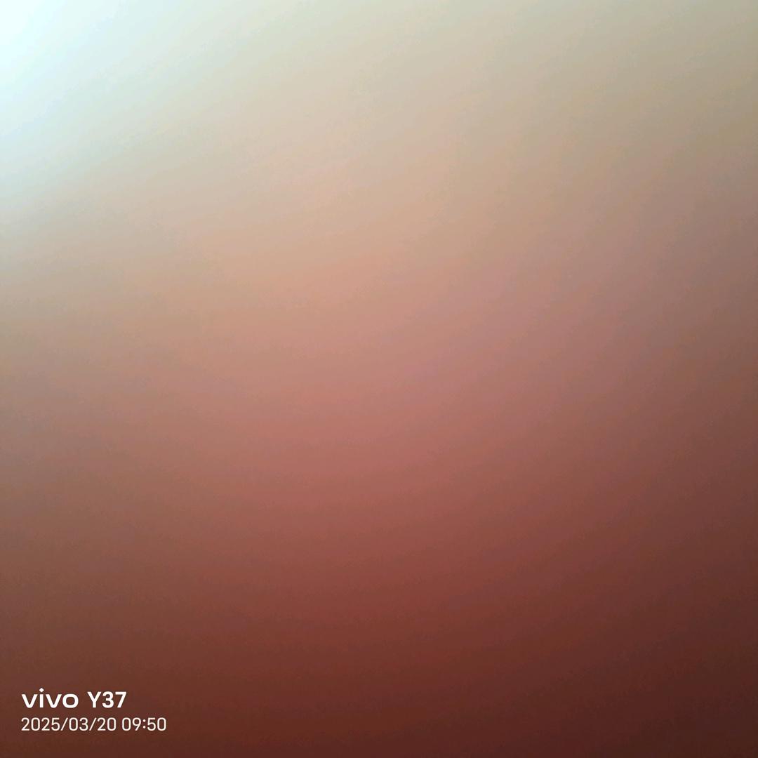 用户2462802036513