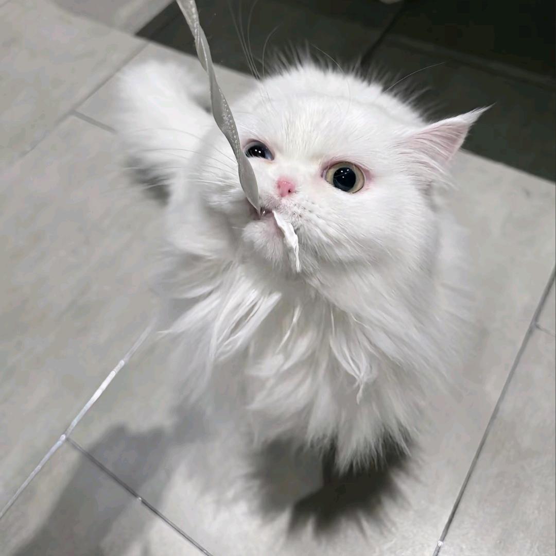 uie