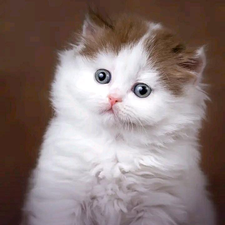 小伙