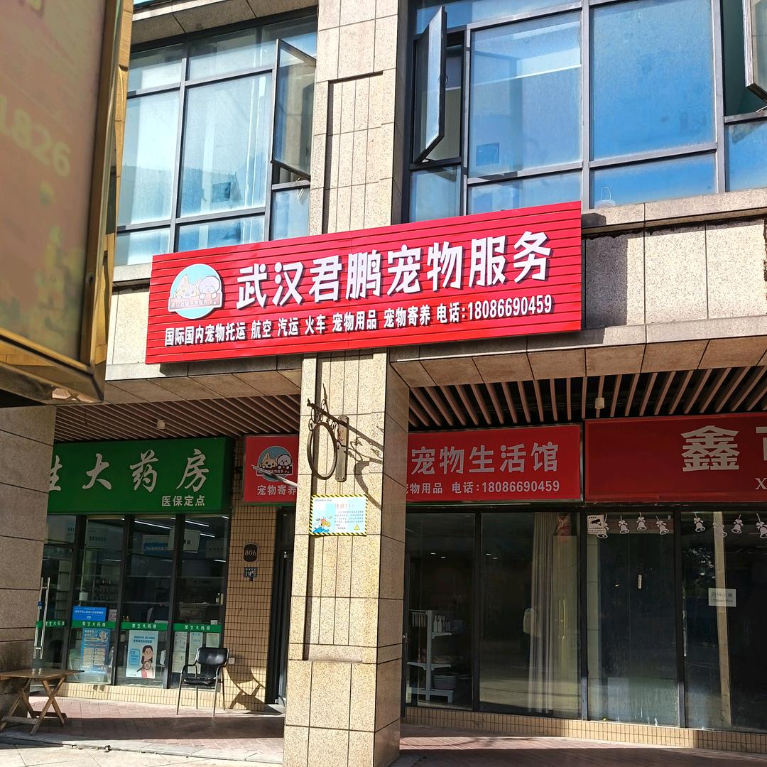 武汉君鹏宠物托运