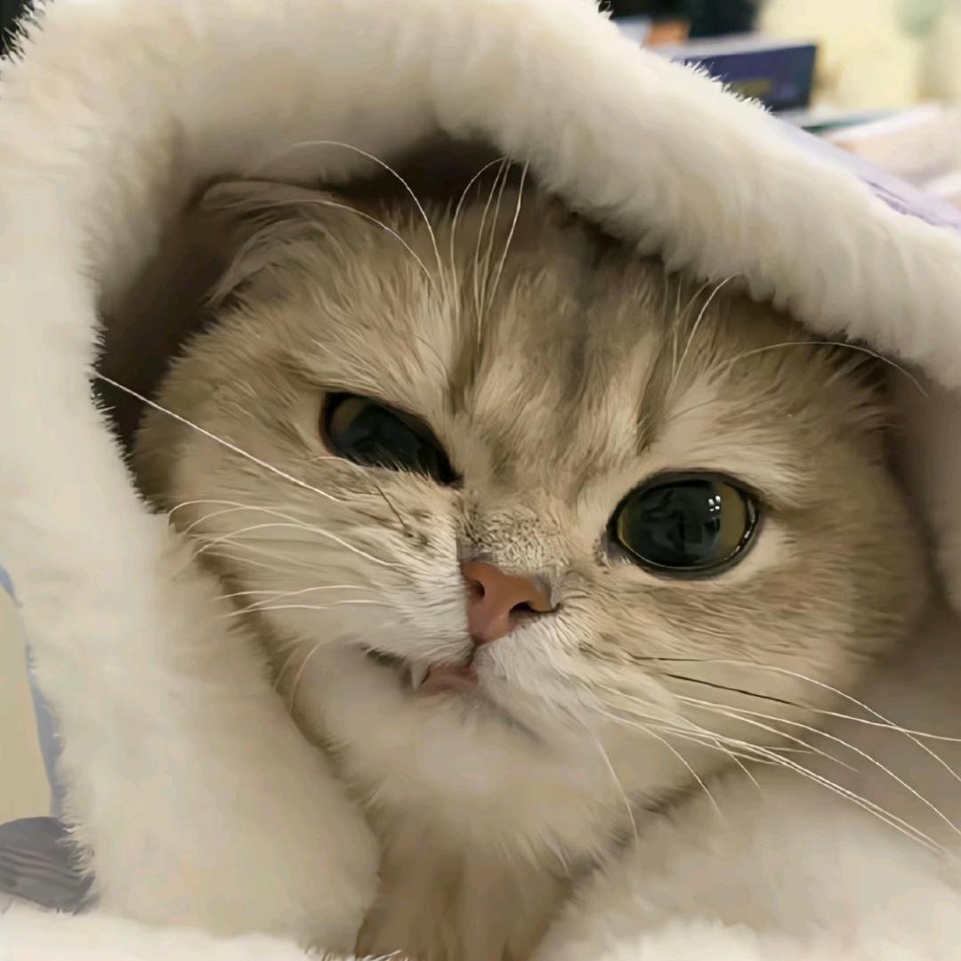 小宇