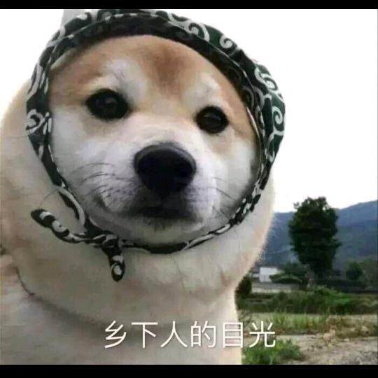三姑
