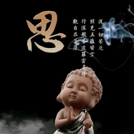 禅缘净心