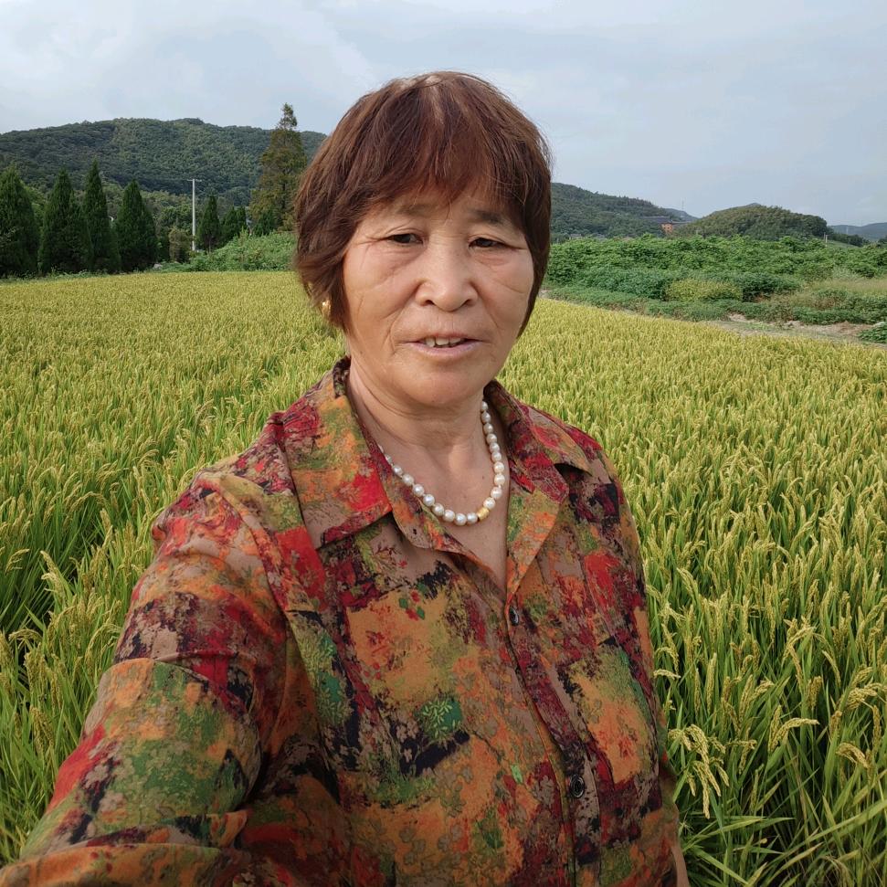 贺奶奶