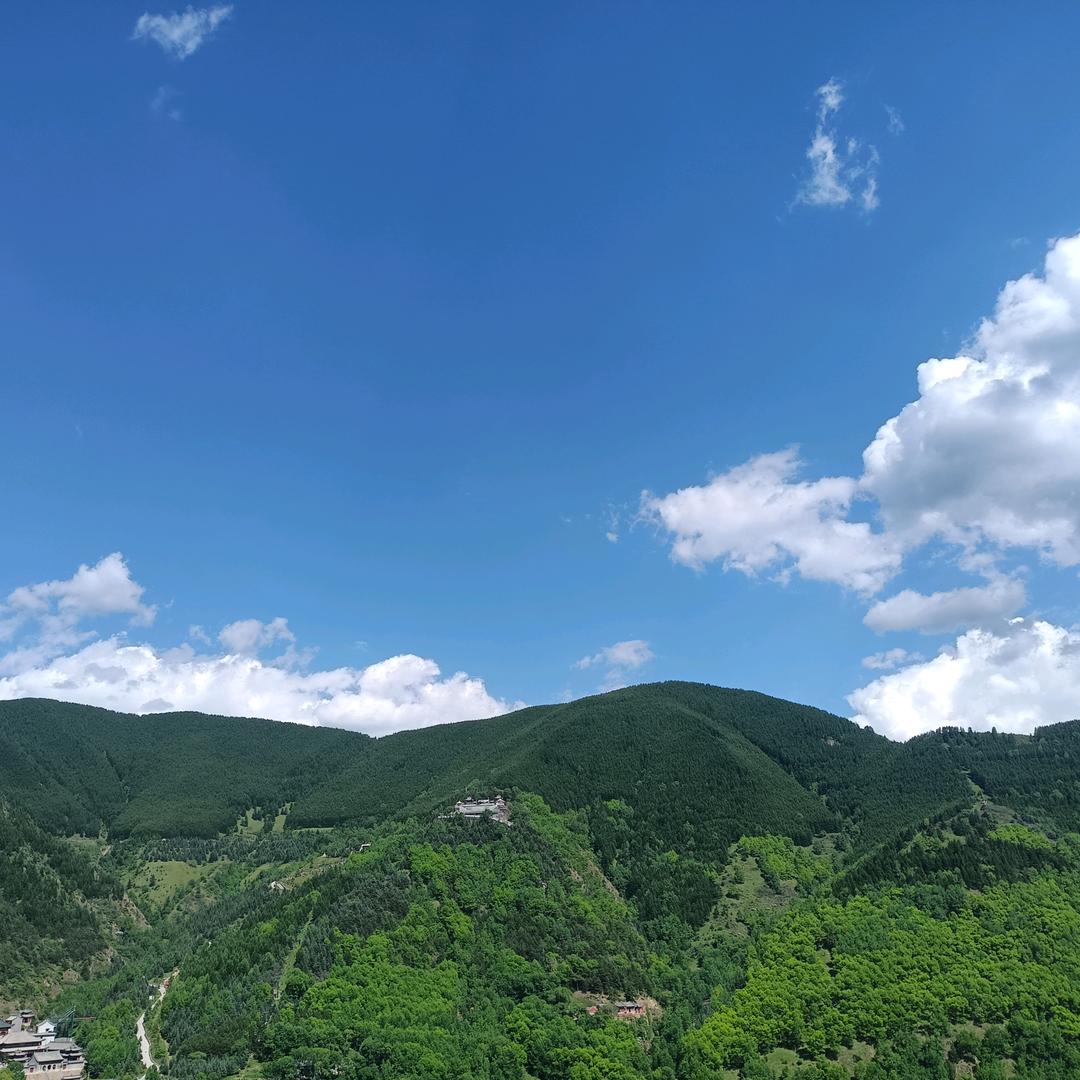 沉默不语