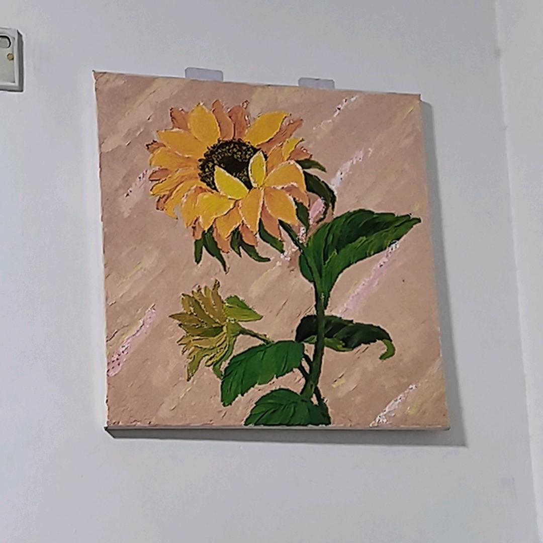 n我家招财猫大罐头