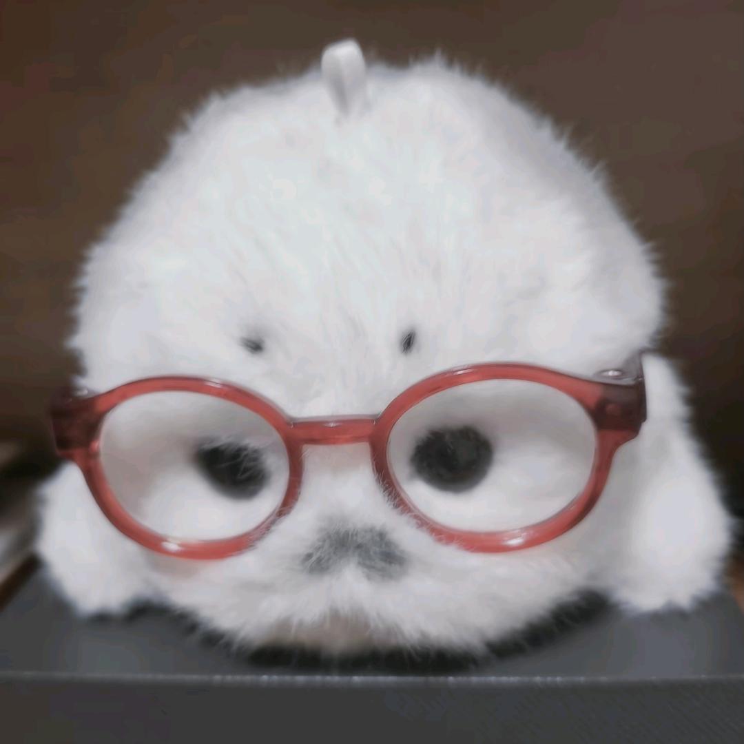 新的风豹已经出现