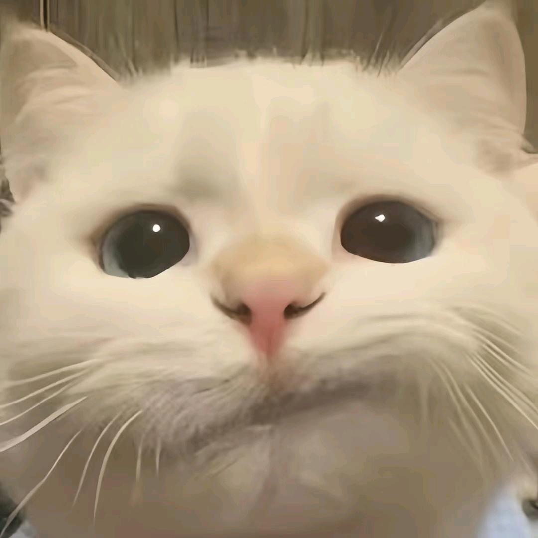 ××集团总裁