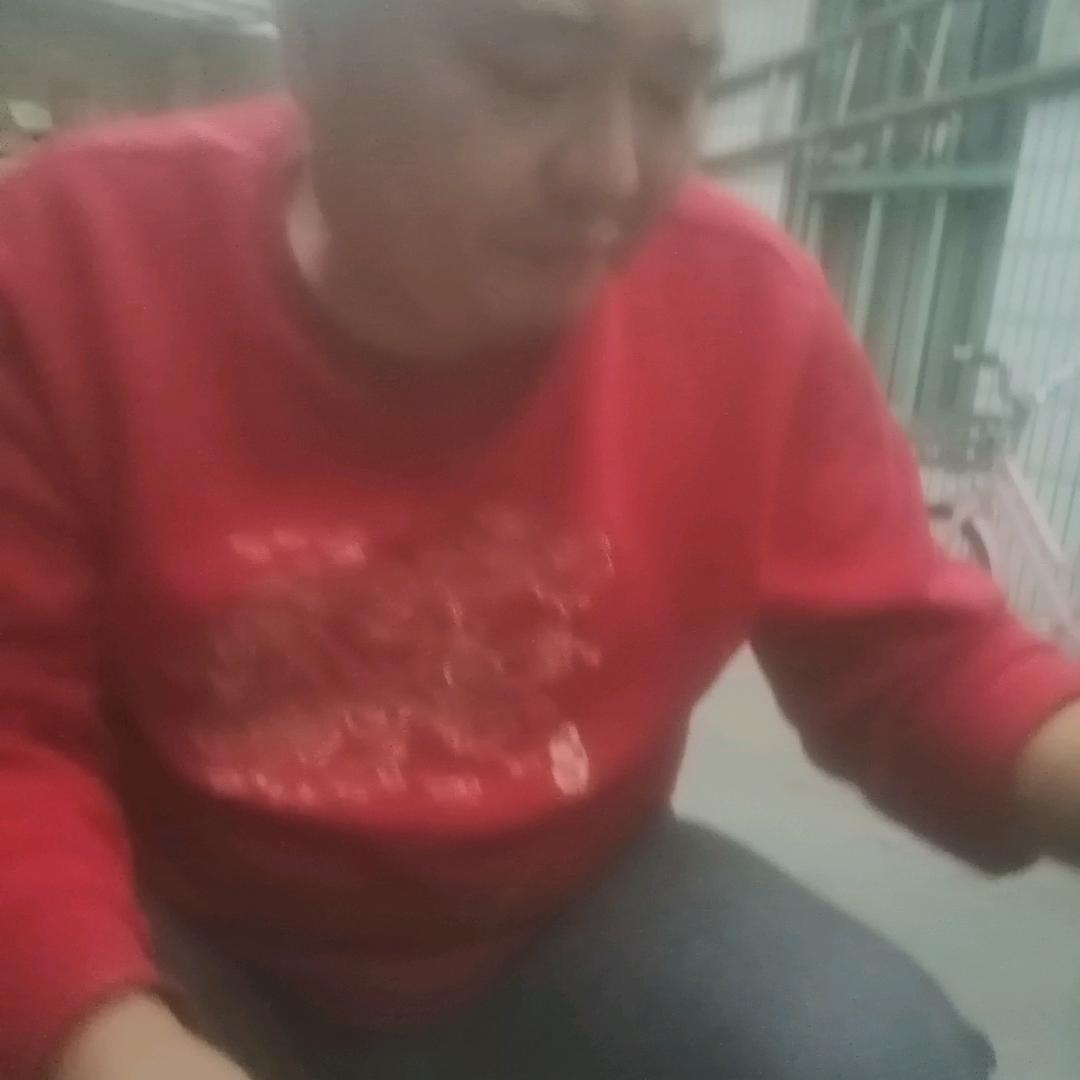王波鲜猪肉批发