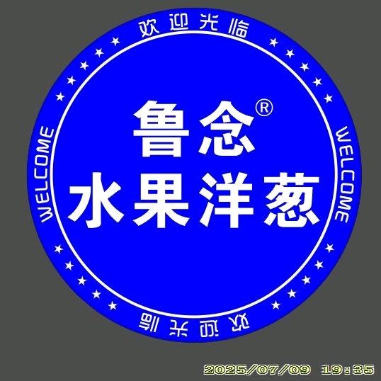 鲁念扁洋葱