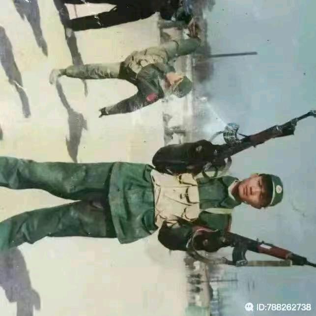 春哥家的蜂蛹