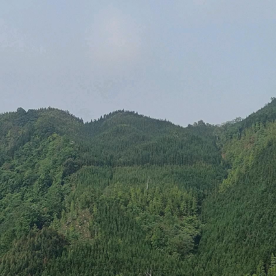 用户8087068518141