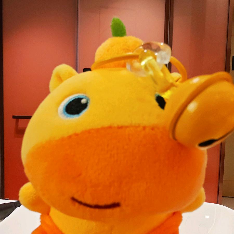 摆摆