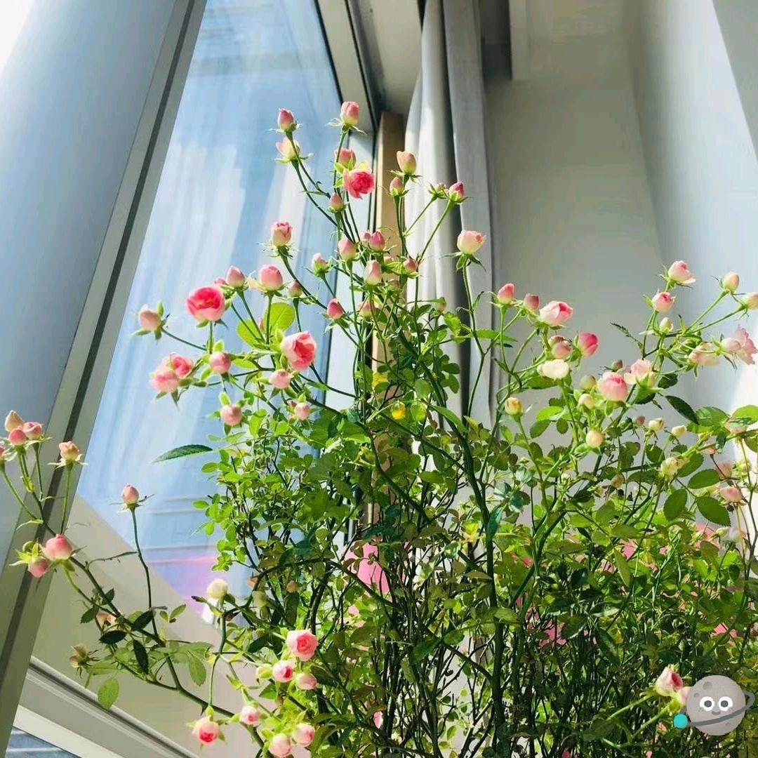 人生正味是清欢