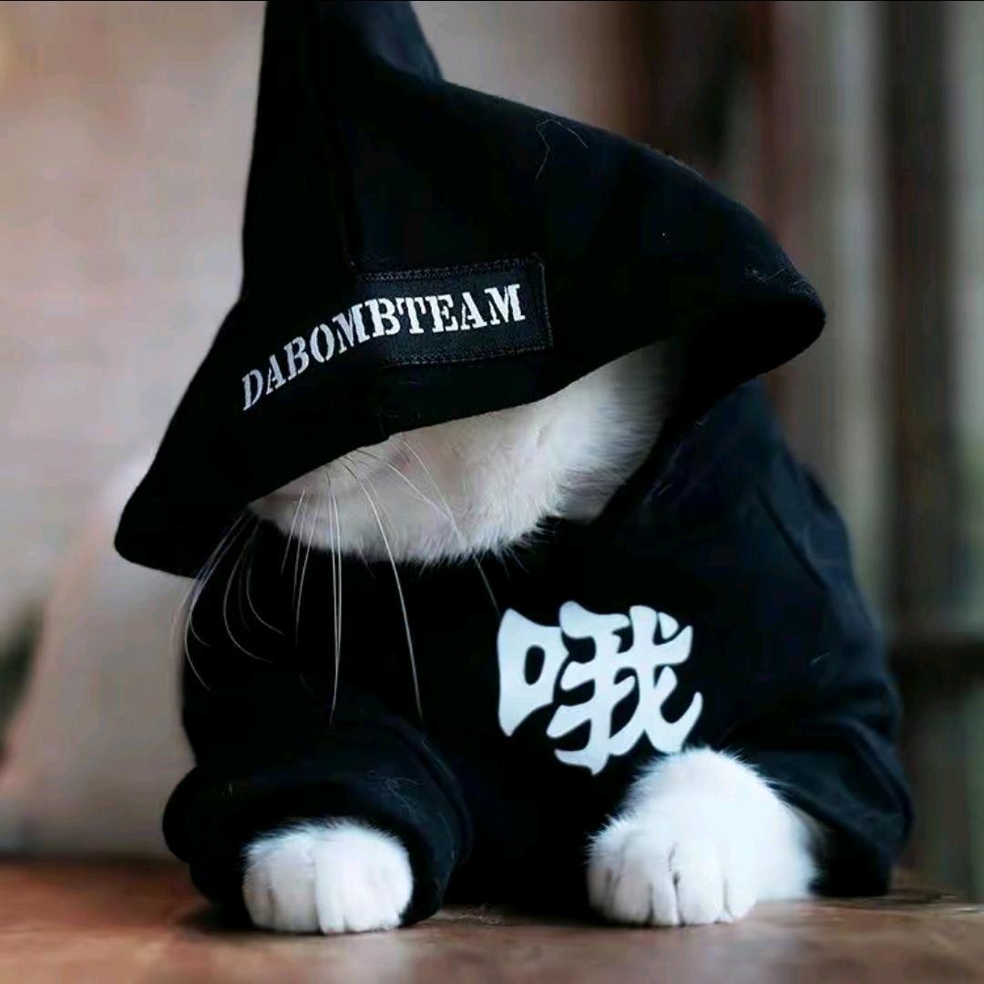 泡了个影