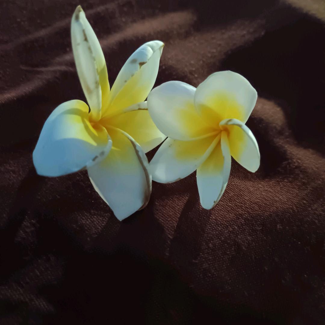 稀缺