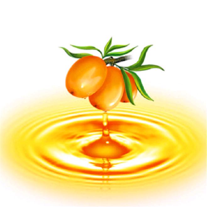 然萃沙棘（多喝沙棘）