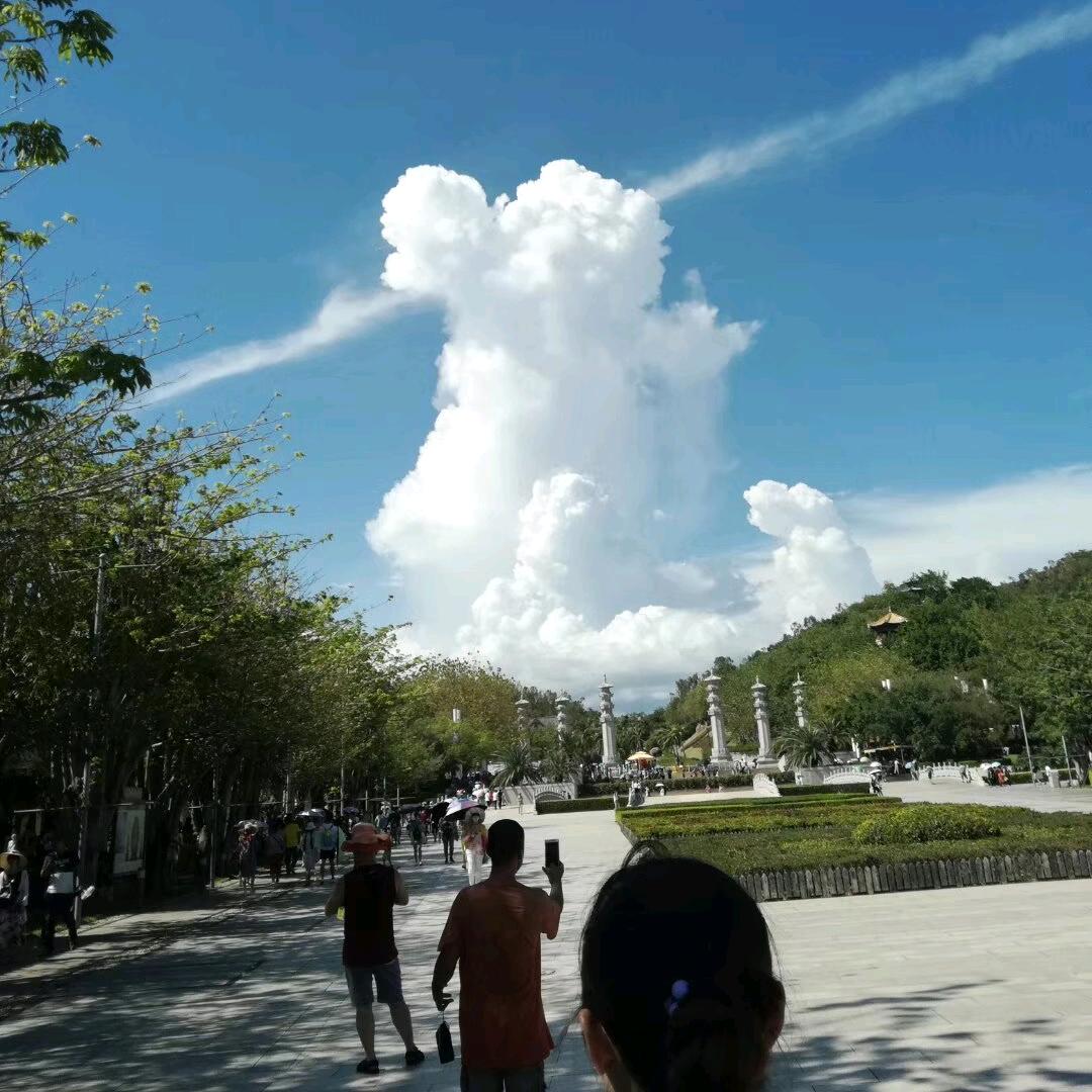 随缘就好