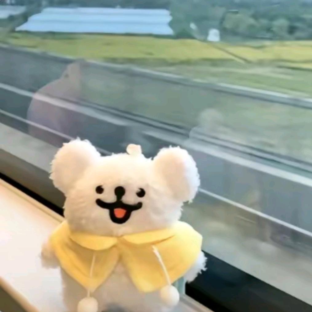 枝枝zz