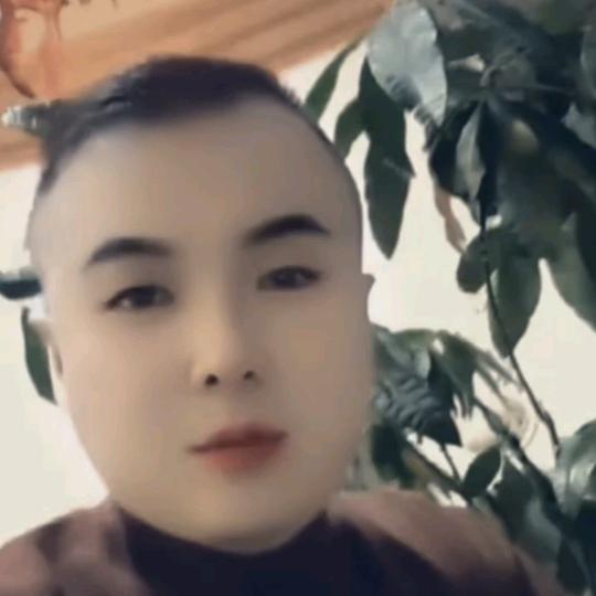 小马（XM)