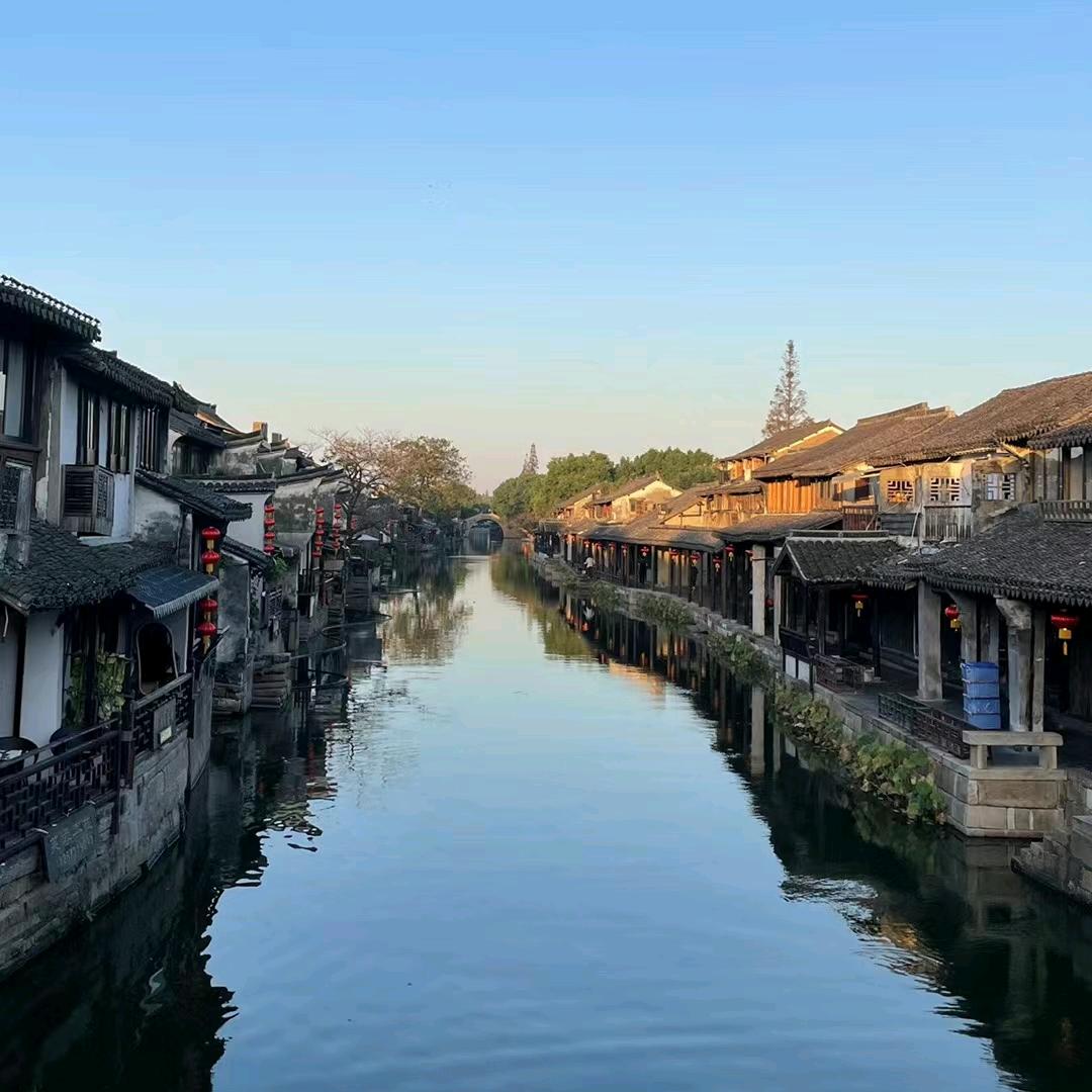 静静的看着