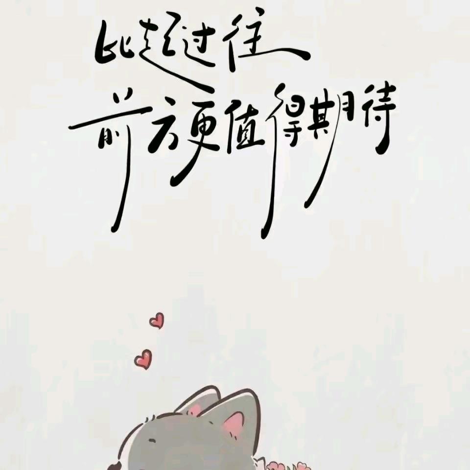 哈喽哈喽哈喽✨