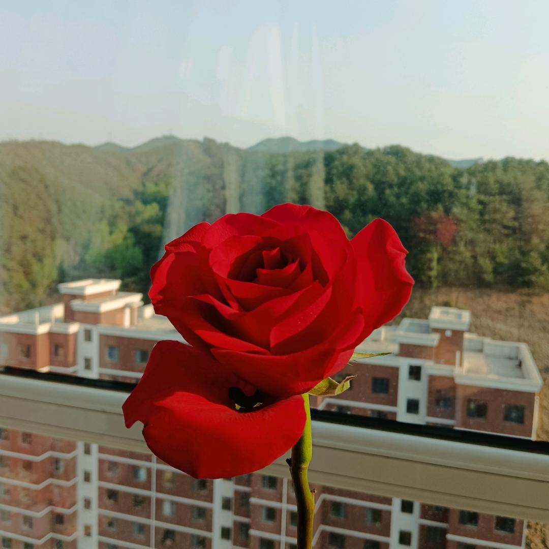 小金🇨🇳