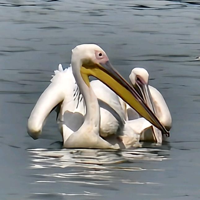 黑土地的烟火气