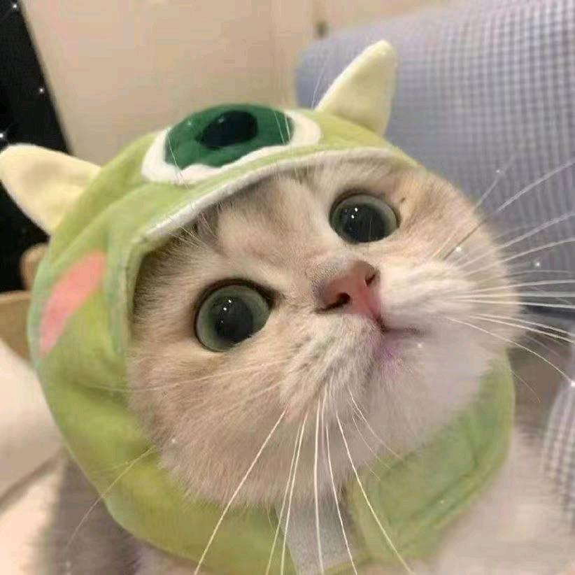 叶子（和平精英)