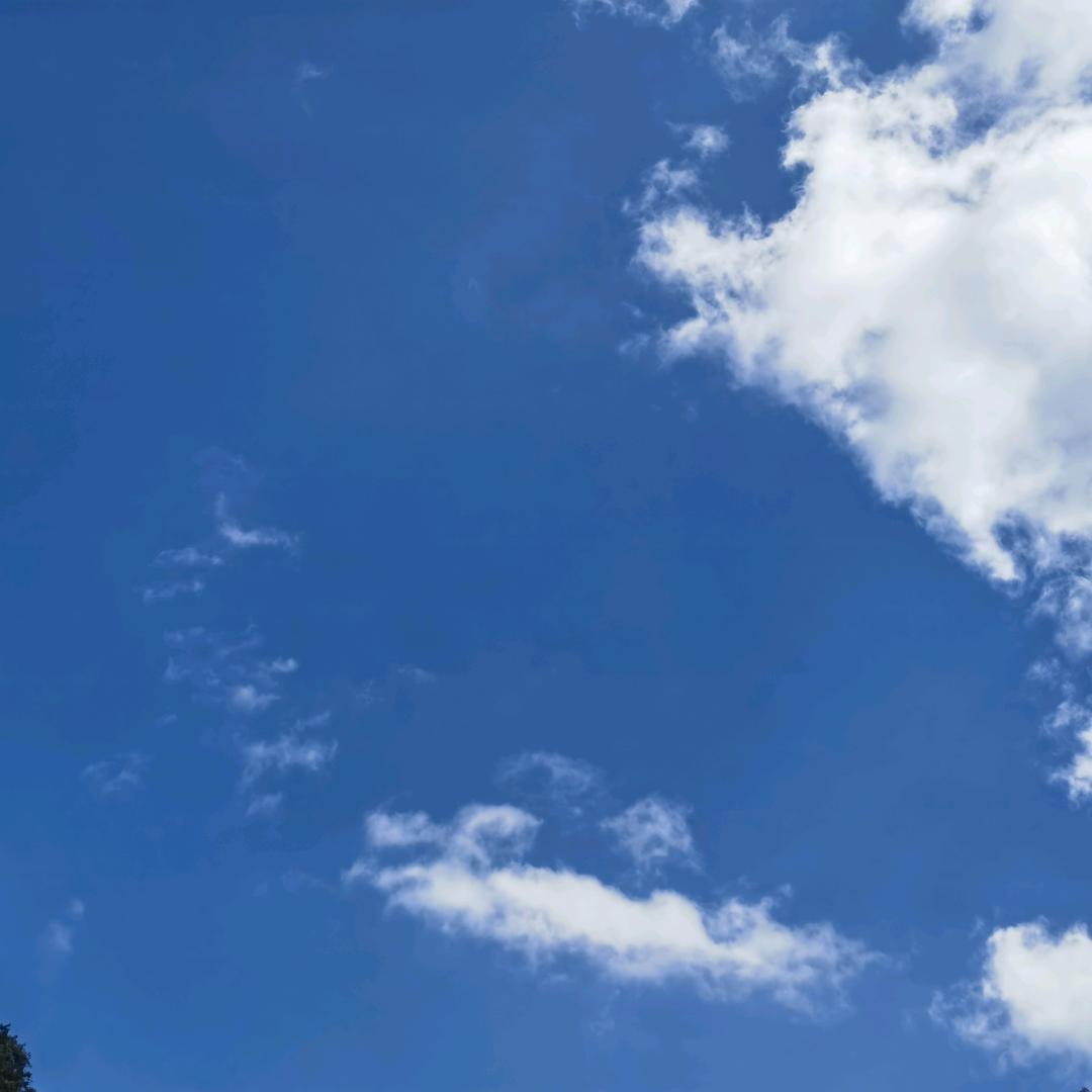 王者荣耀小鲁班