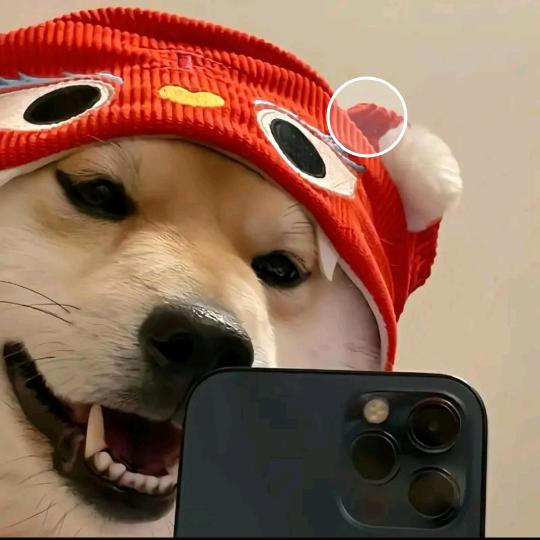 遇见更好的她