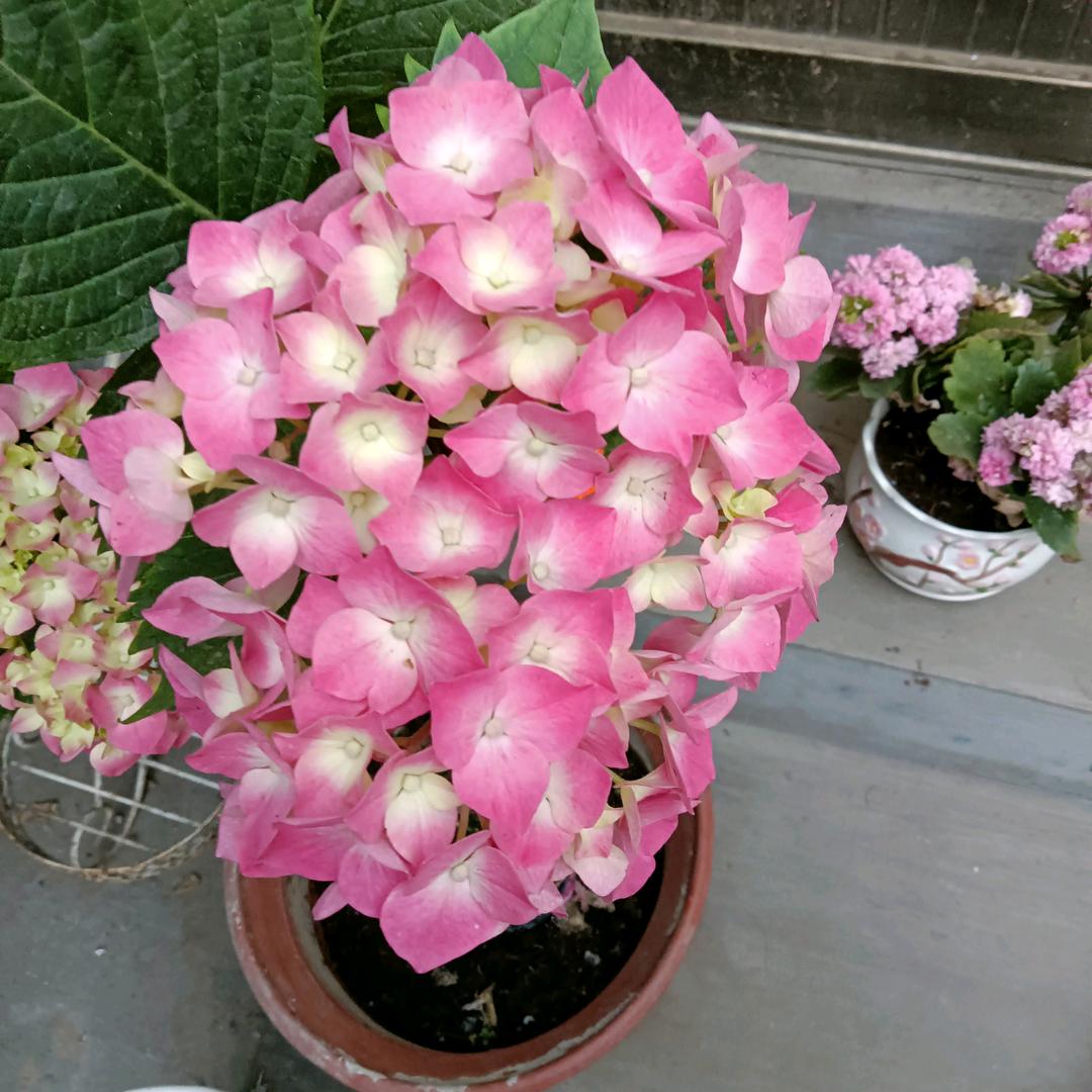 过好每一天开心每一天