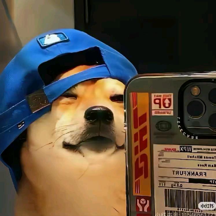 玖辞