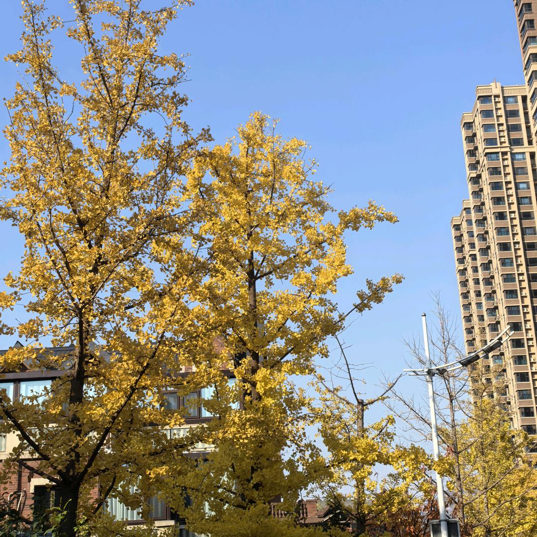 碧水蓝天
