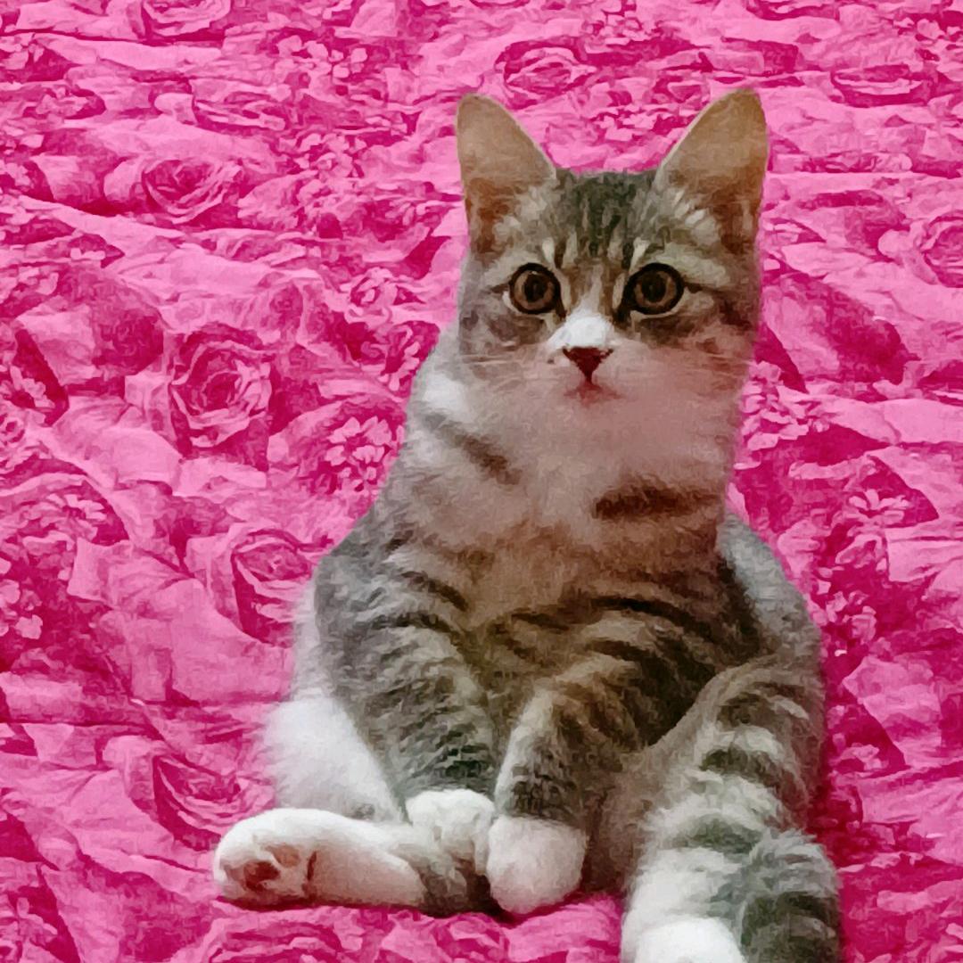 猛踹瘸子好腿