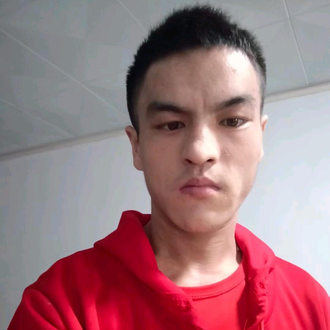 绥宁龙
