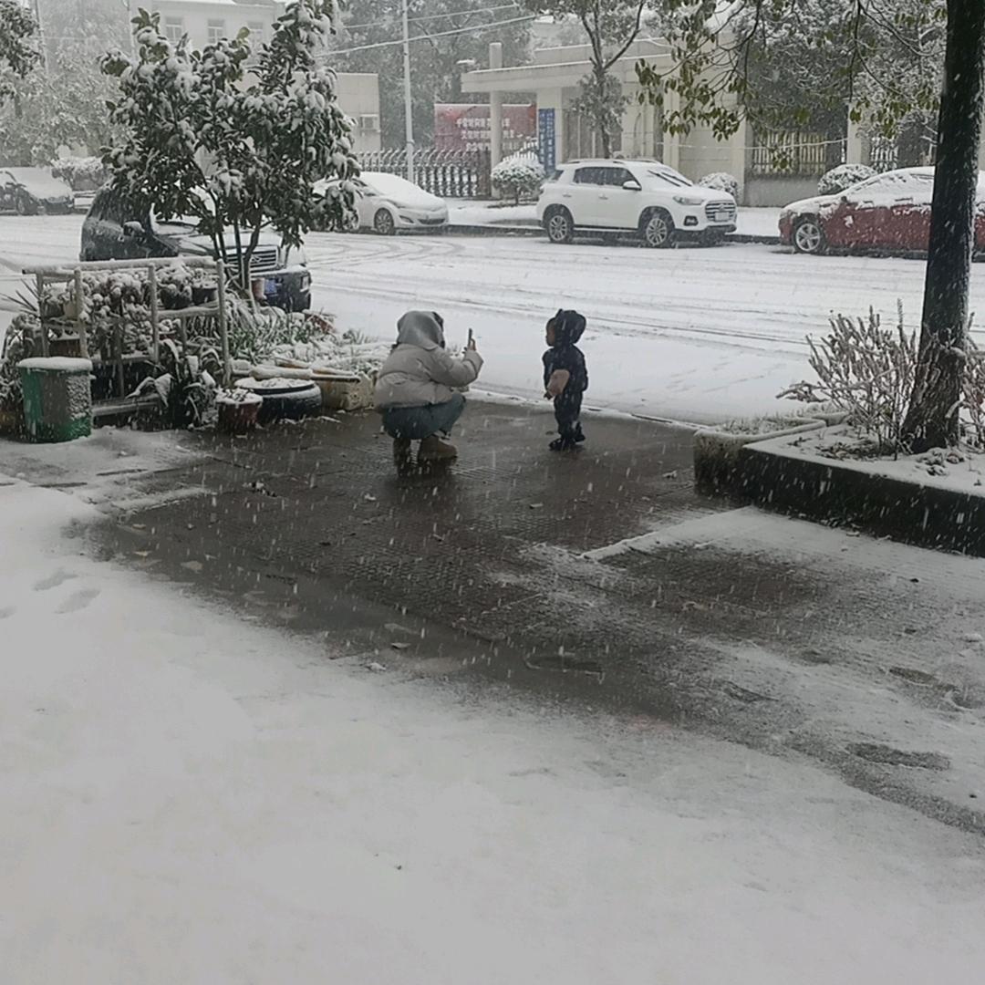 我爱一条柴
