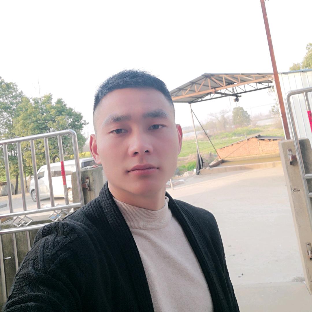 小笨猪