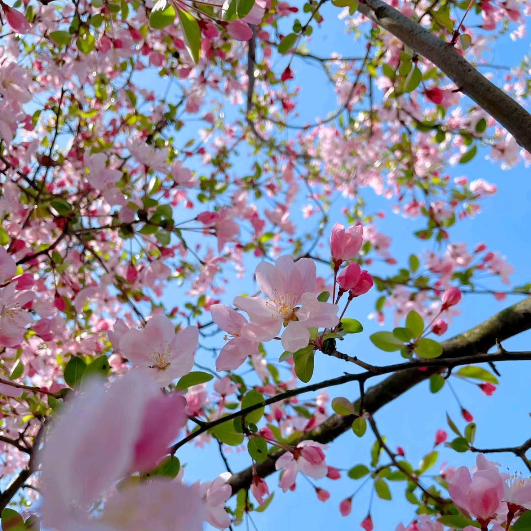 🌟ᐝ向陽🌻而生໊ᩚ࿐