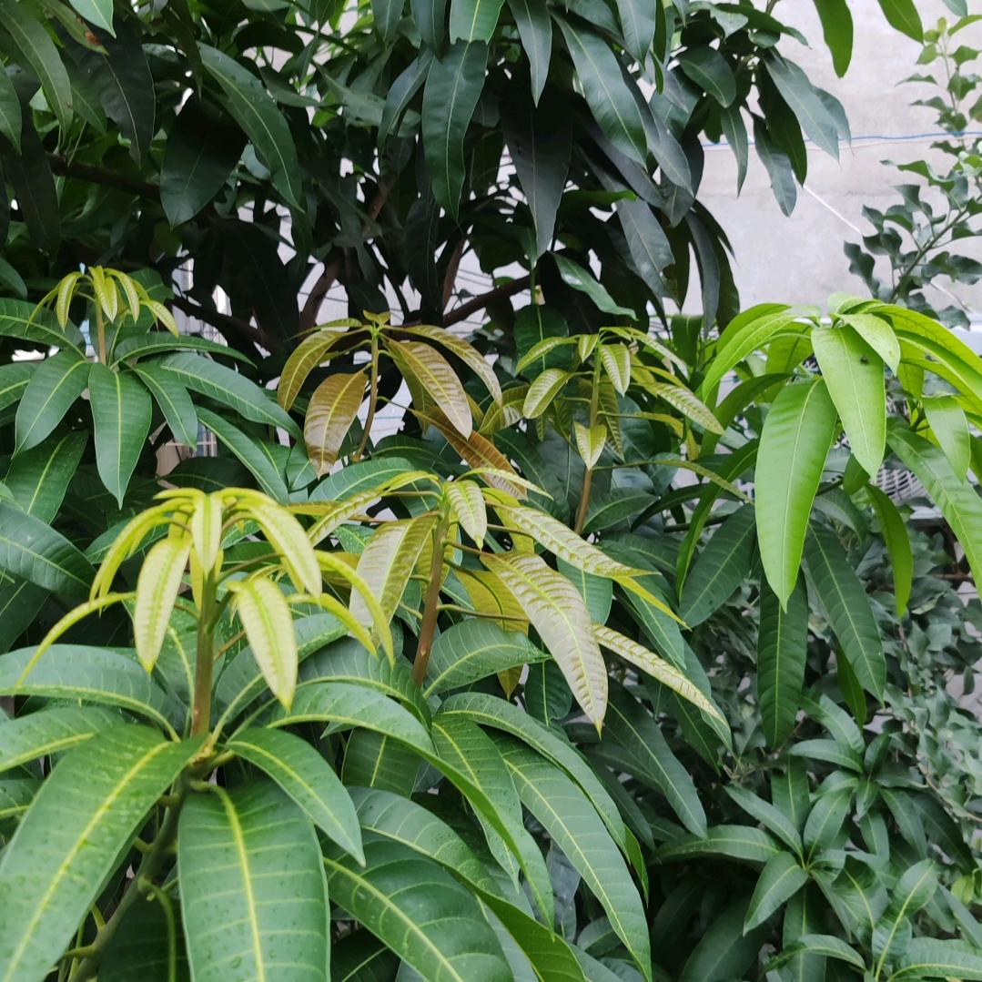 永不后悔