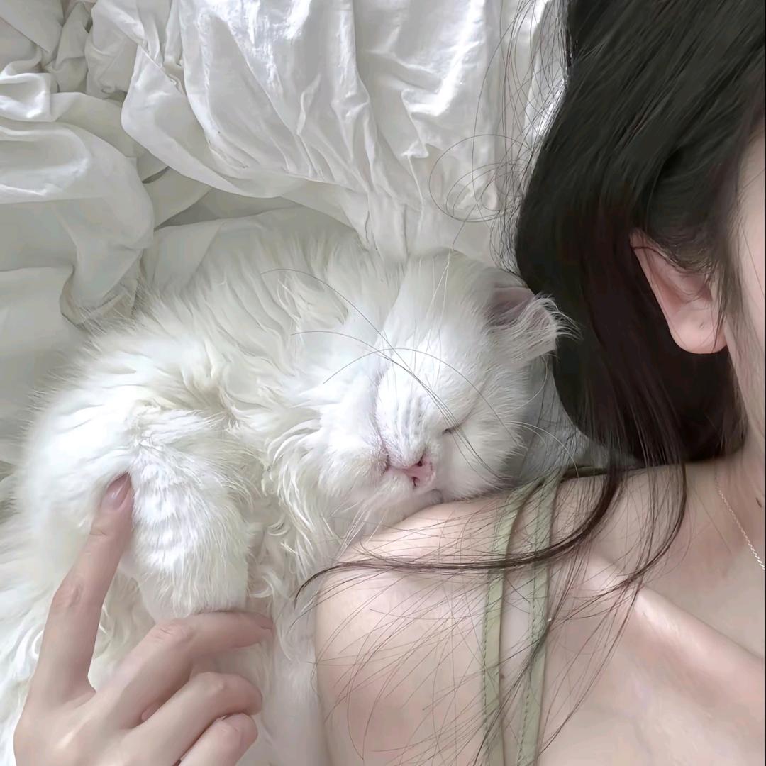 温柔佳💞