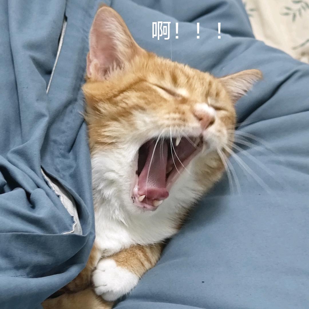 余