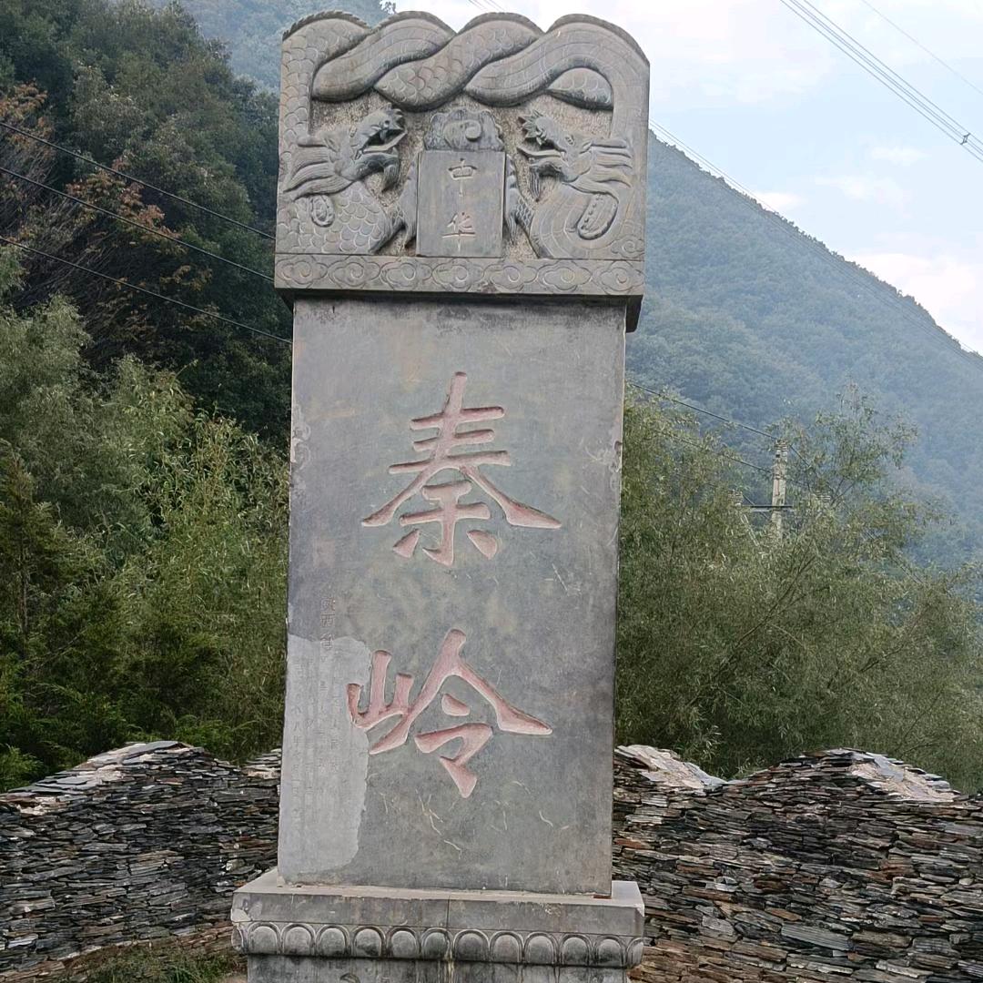 殇
